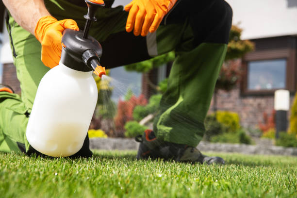 Best Emergency Pest Control  in Guthrie, OK