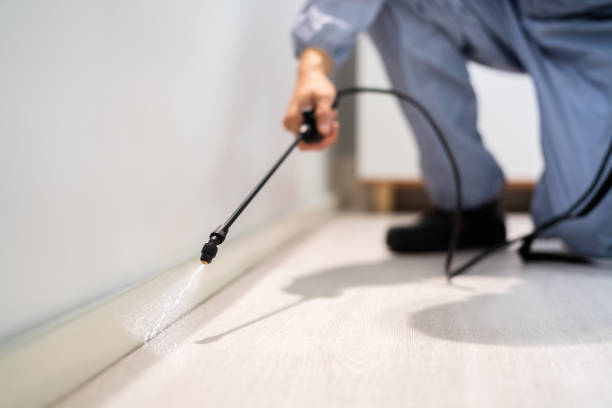 Best Pest Control Treatment  in Guthrie, OK