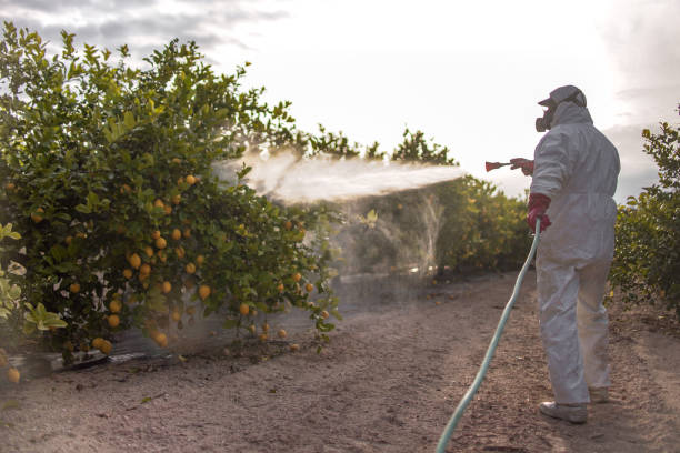 Best Pest Control Treatment  in Guthrie, OK