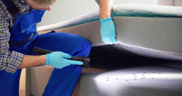 Trusted Guthrie, OK Pest Control Experts