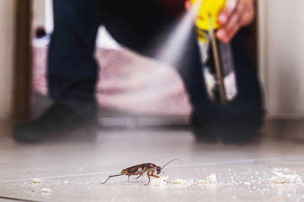 Best Termite Control Services  in Guthrie, OK