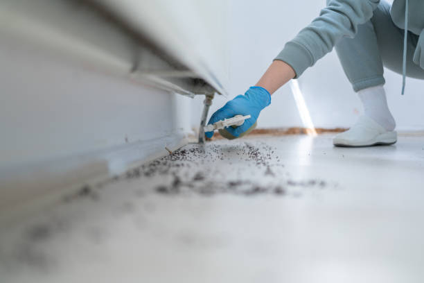 Best Exterminator Services  in Guthrie, OK