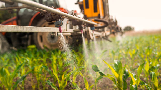 Best Mosquito Control Services  in Guthrie, OK