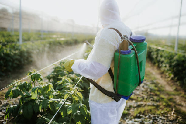 Best Pest Control Cost  in Guthrie, OK